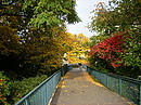 Ein Bunter Herbst 2008