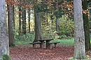 Fotos_Herbst