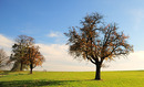 Fotos_Herbst