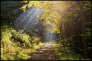 Herbstlicht