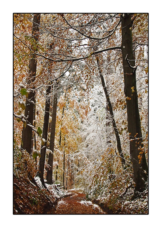 Umstellung auf Winterzeit