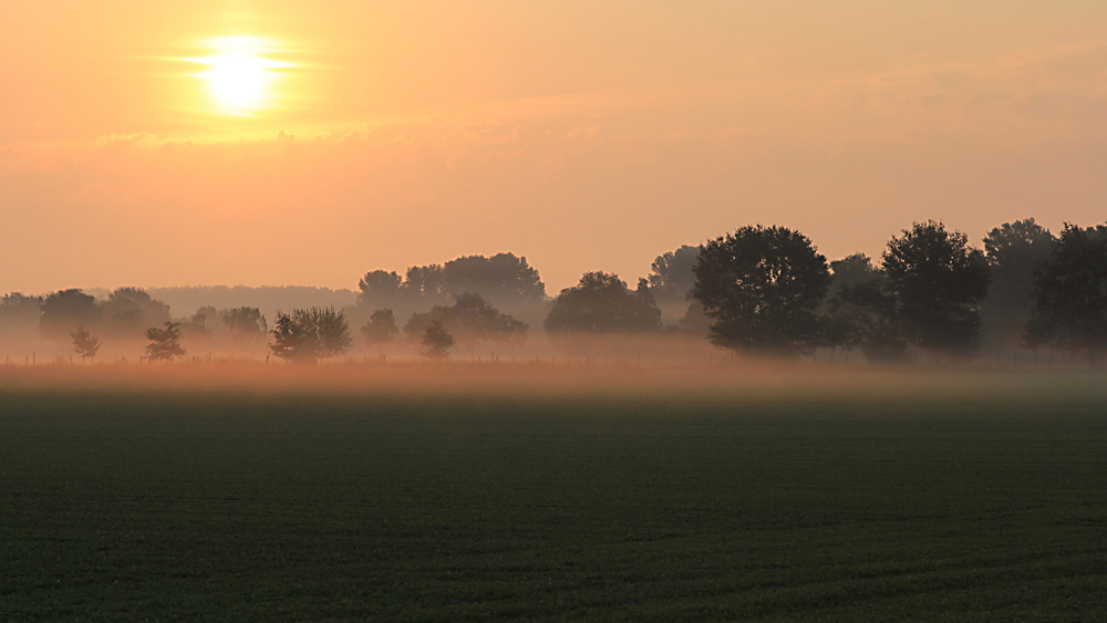 heute morgen