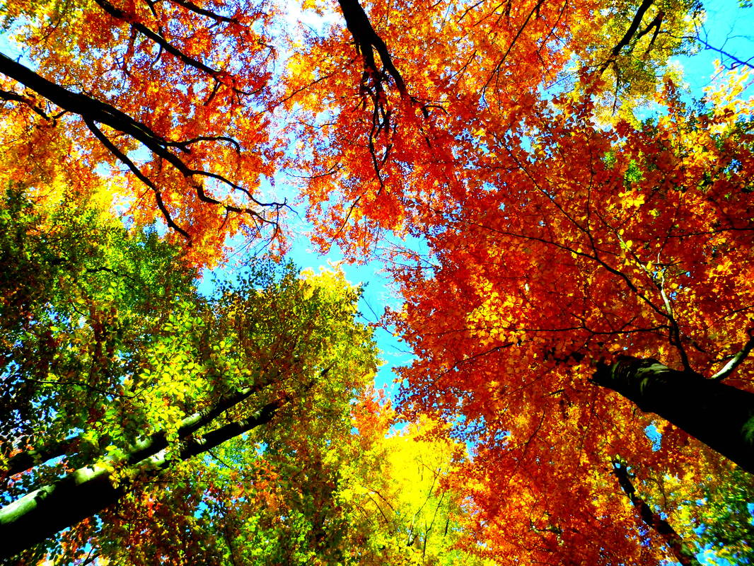 Viele viele Farben...