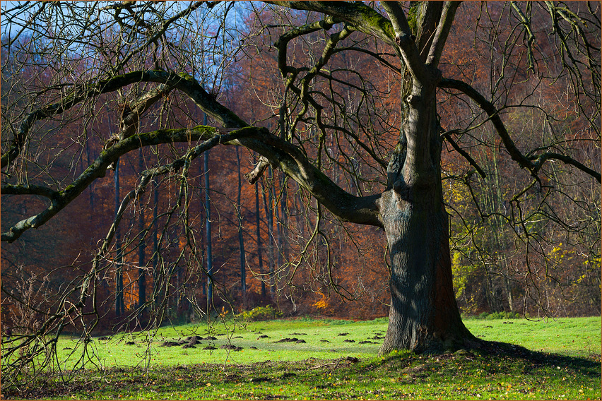 "Indian summer" 
