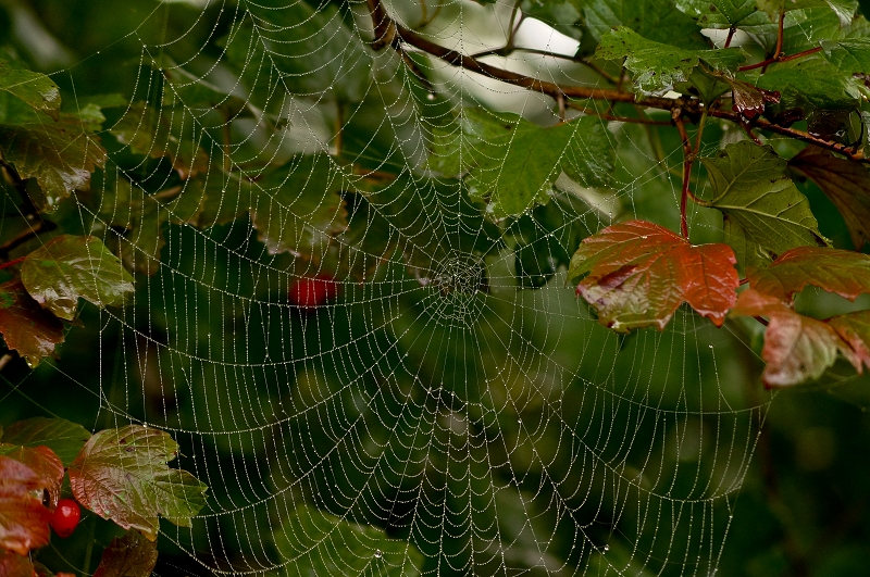 Der Herbst ist da