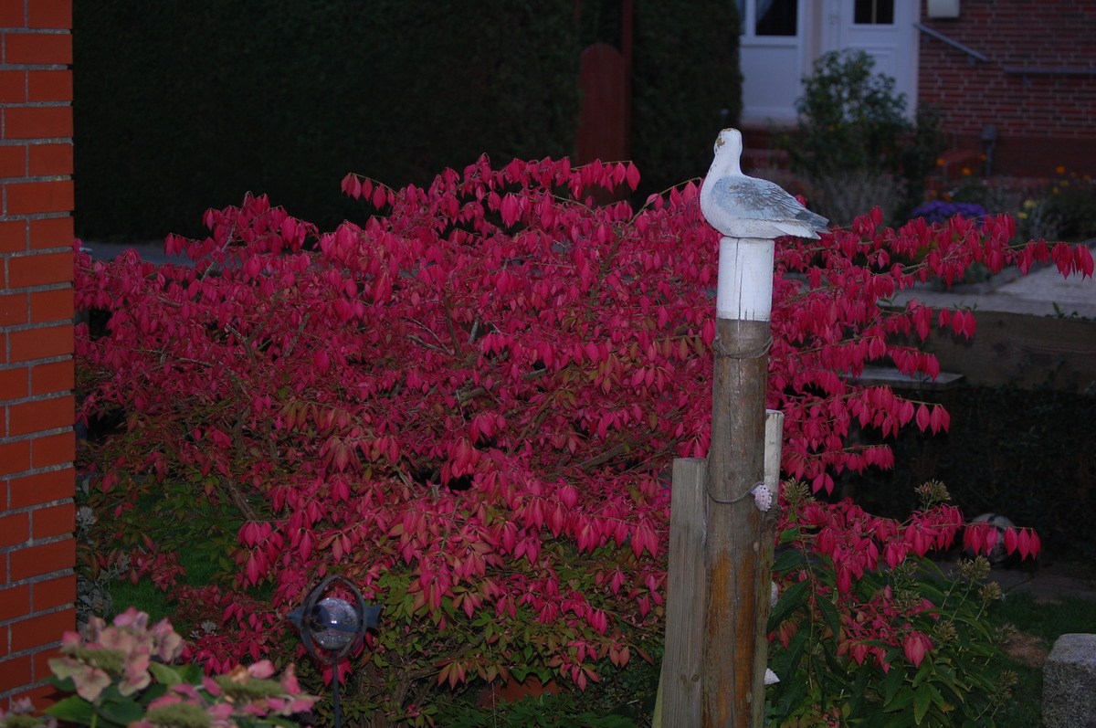 Die tollen Farben des Herbstes