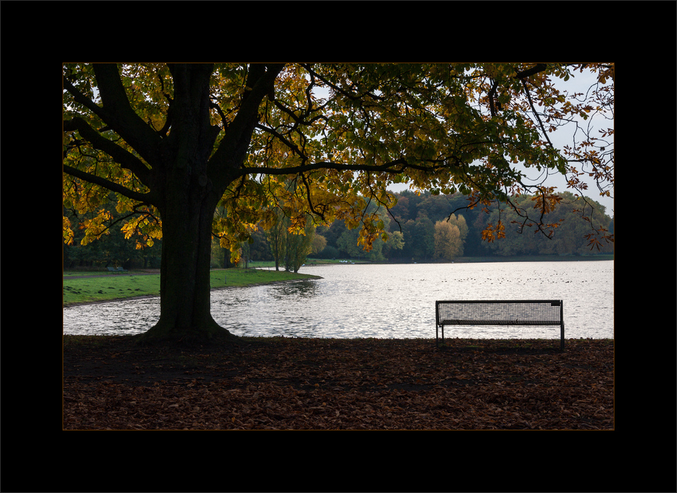 Bank mit Seeblick…