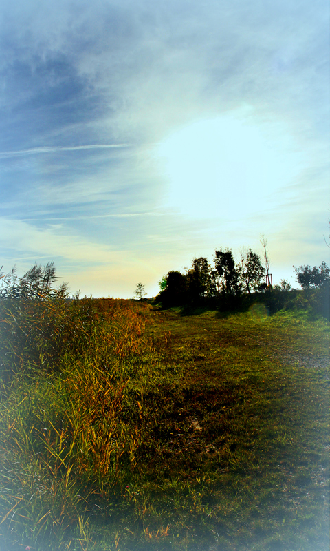 Herbstspaziergang am Badesee bei Neustadt/Donau