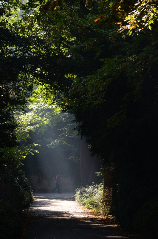 Frühmorgens im Doblhoffpark.
