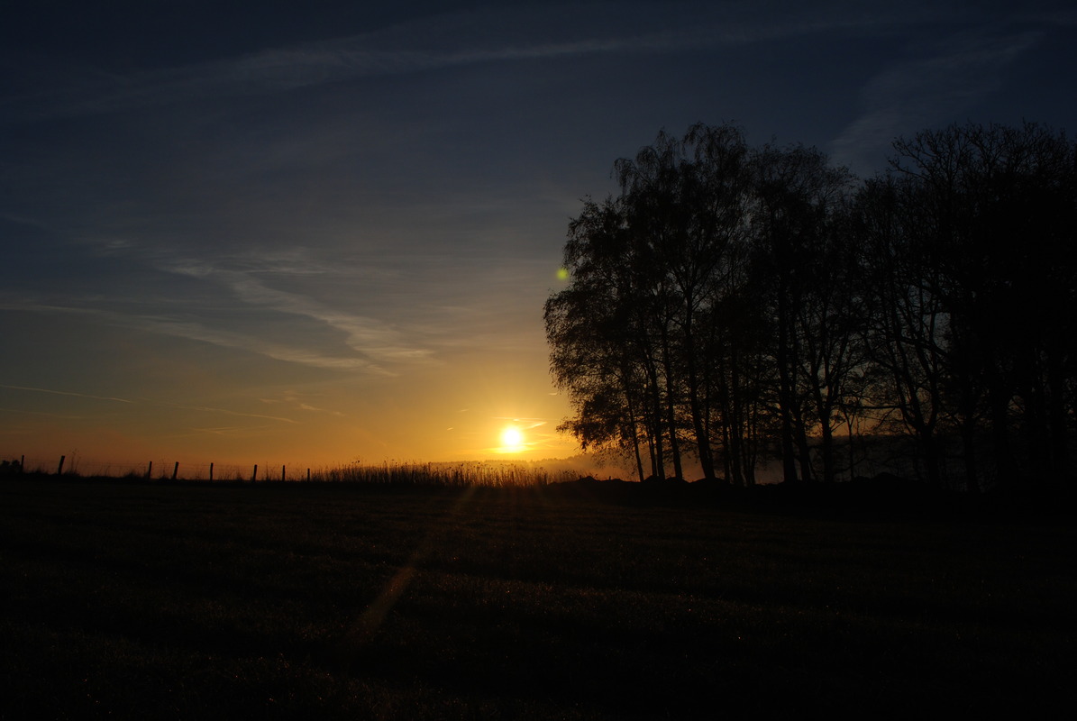 Der letzte Herbstmorgen