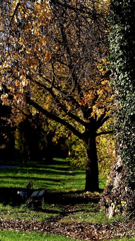 November