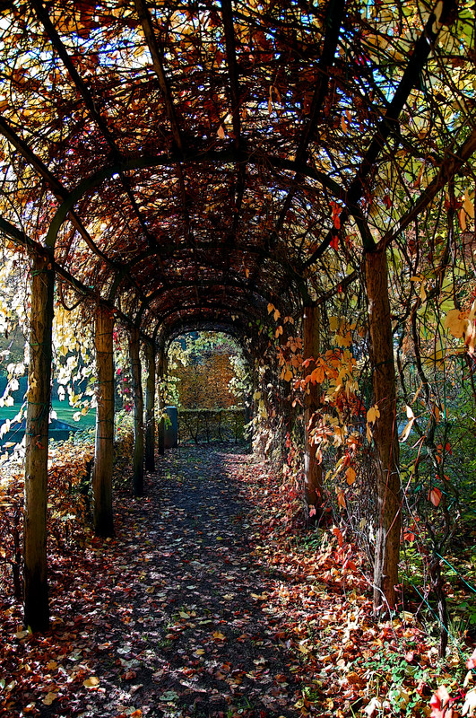 Herbstlaub