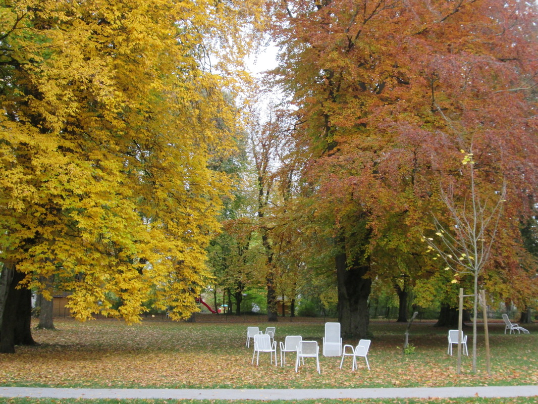 Herbst im Park