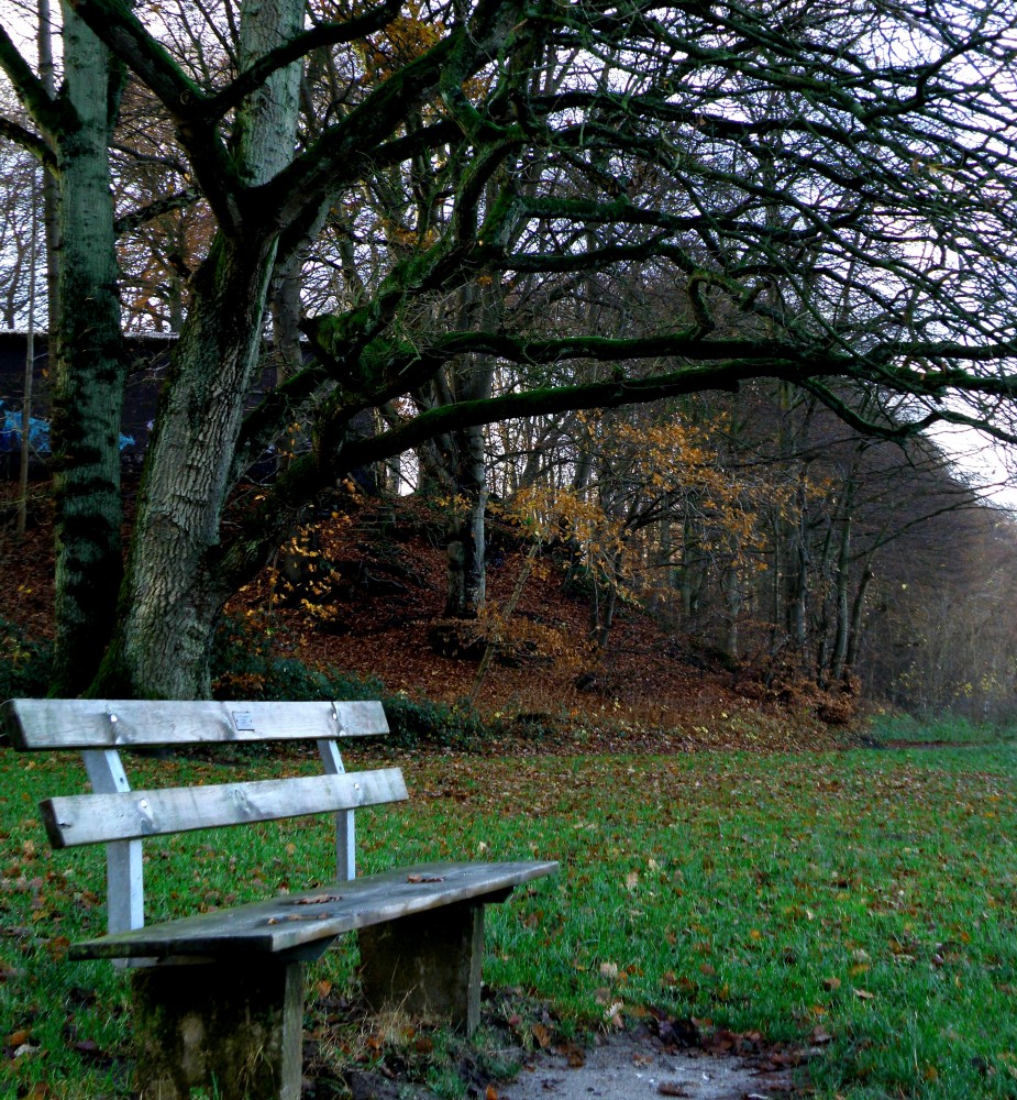 autumn... again