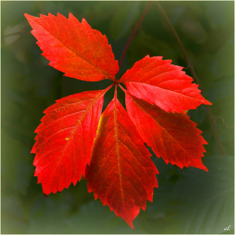 Herbstfarben