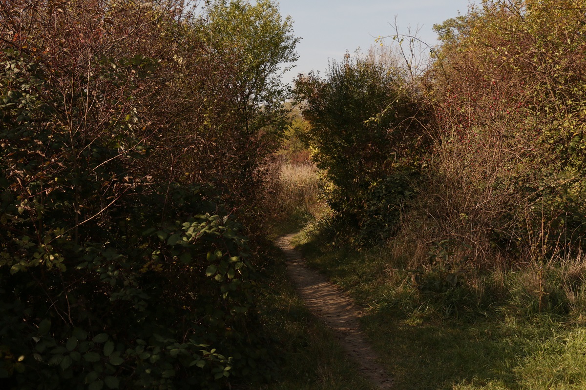 Wienerberg im Herbst