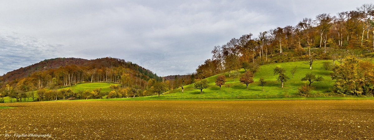 Bald mal die letzten Farben 3