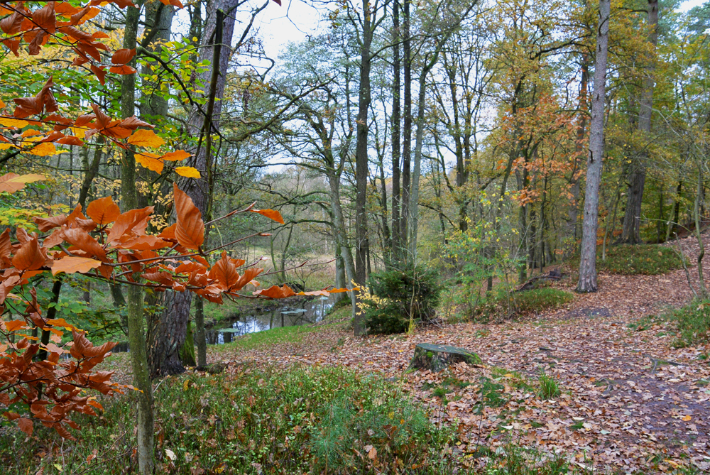 Goldener Herbst