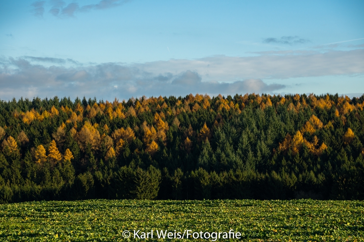 Herbst...