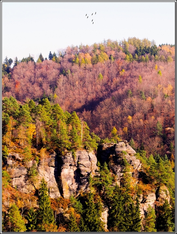 Herbst
