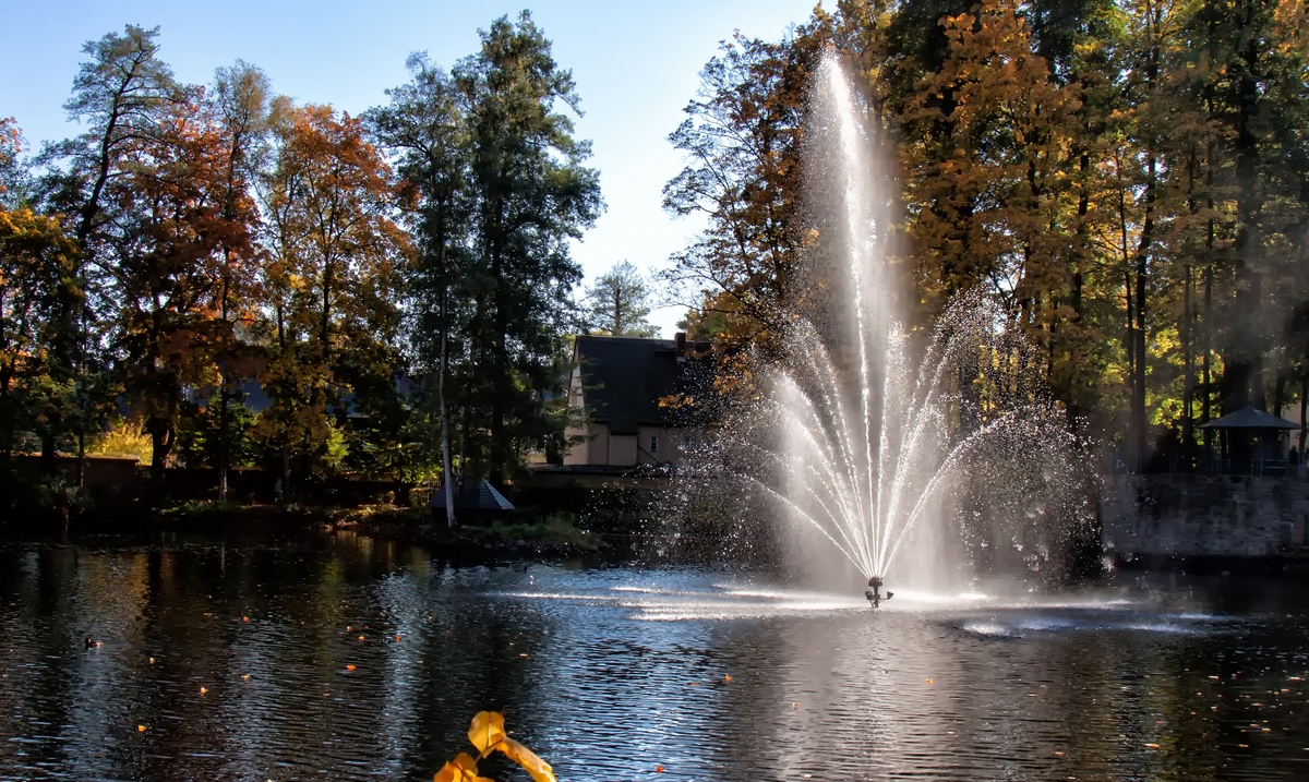 Im Schlosspark 2