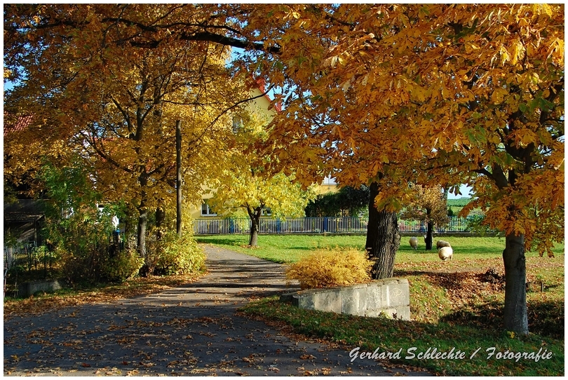 Herbstlicher Hofeingang