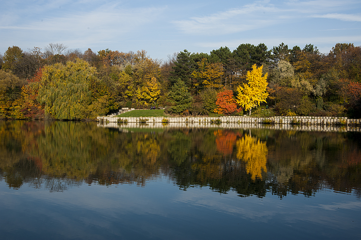 Herbstlandschaft 2 Oberlaa