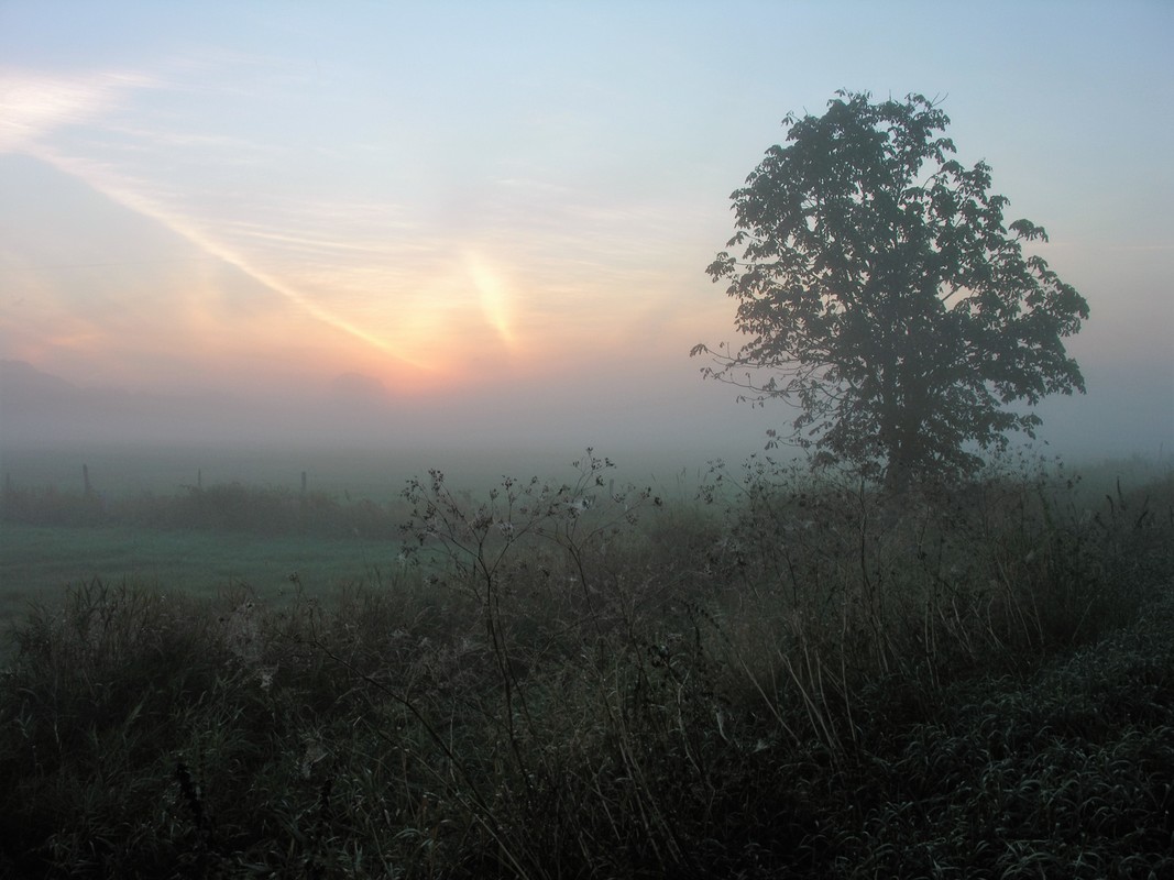 Frühherbst in Garbsen
