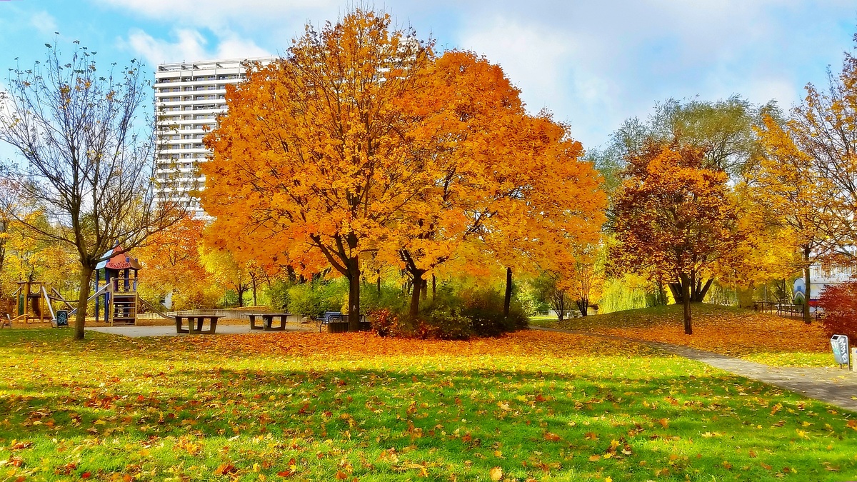 Herbst im Park