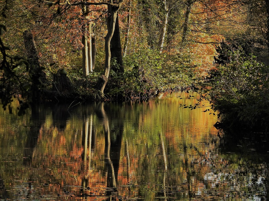 Malerischer Herbst