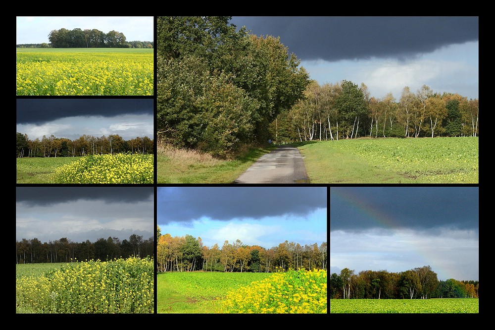 Herbstwetter-Kapriolen