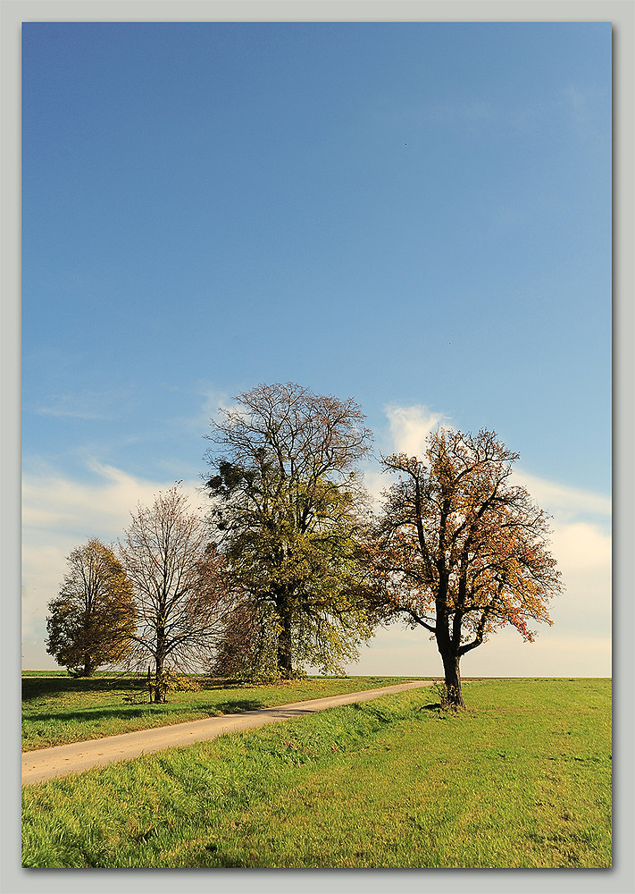 herbstlich 1