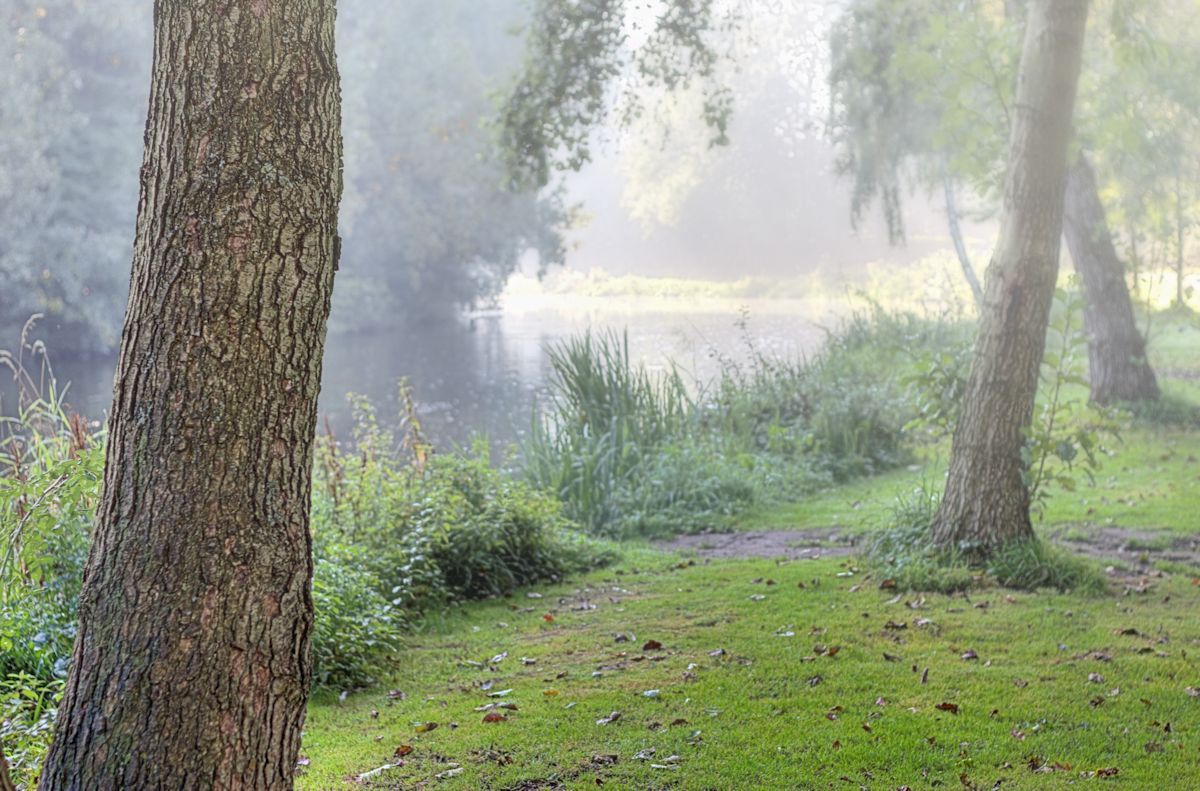 Herbstnebel
