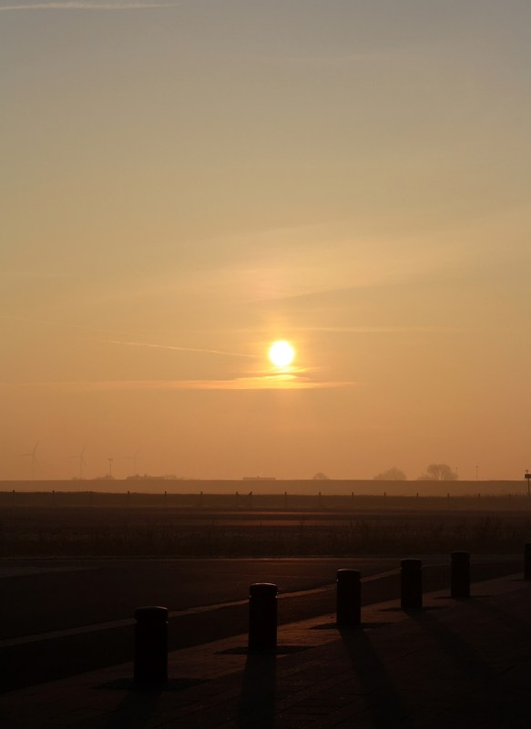 Guten Morgen Sonne!