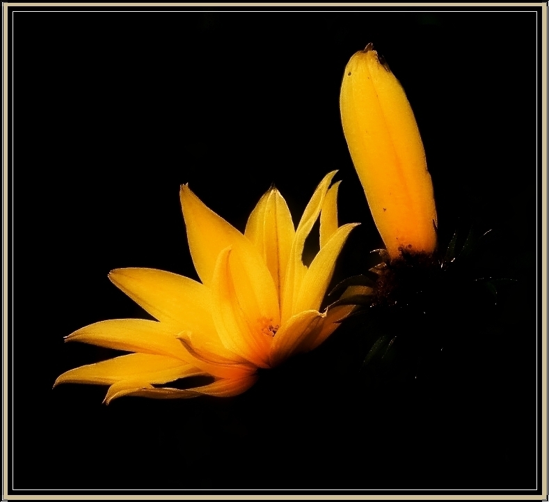 Sonnenfarbe im Herbst