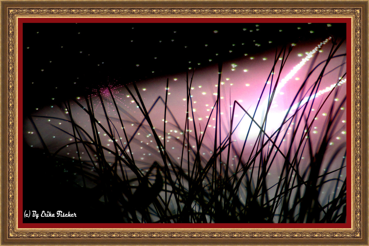 Natur