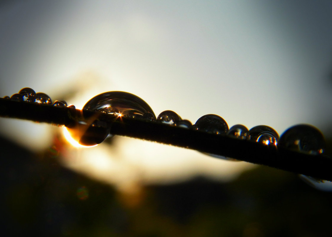 Sun in Raindrop