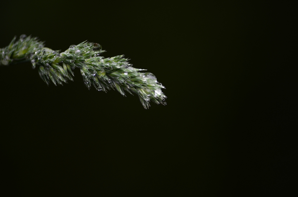 Nach dem Regen