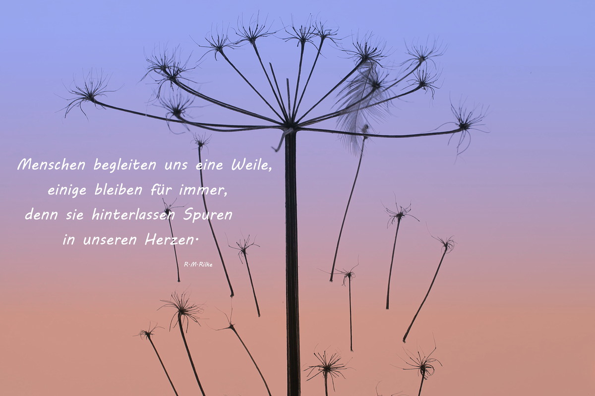Spuren
