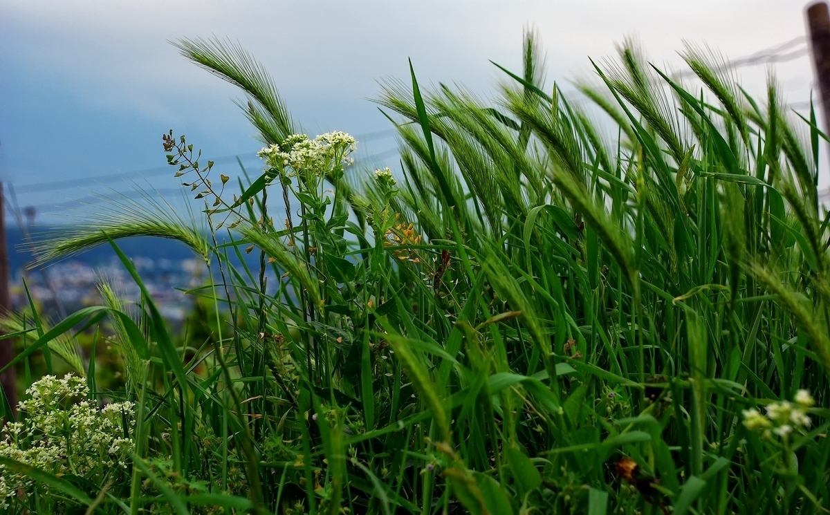Natur wie ich sie mag