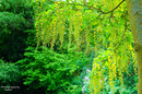 Sehnsucht nach Sommer