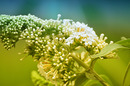 Fotos_Sommer