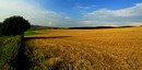 Fotos_Sommer