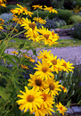 Fotos_Sommer