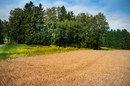 Sehnsucht nach Sommer
