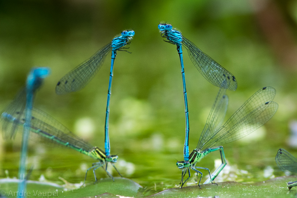 ..und was gibts bei Euch neues?