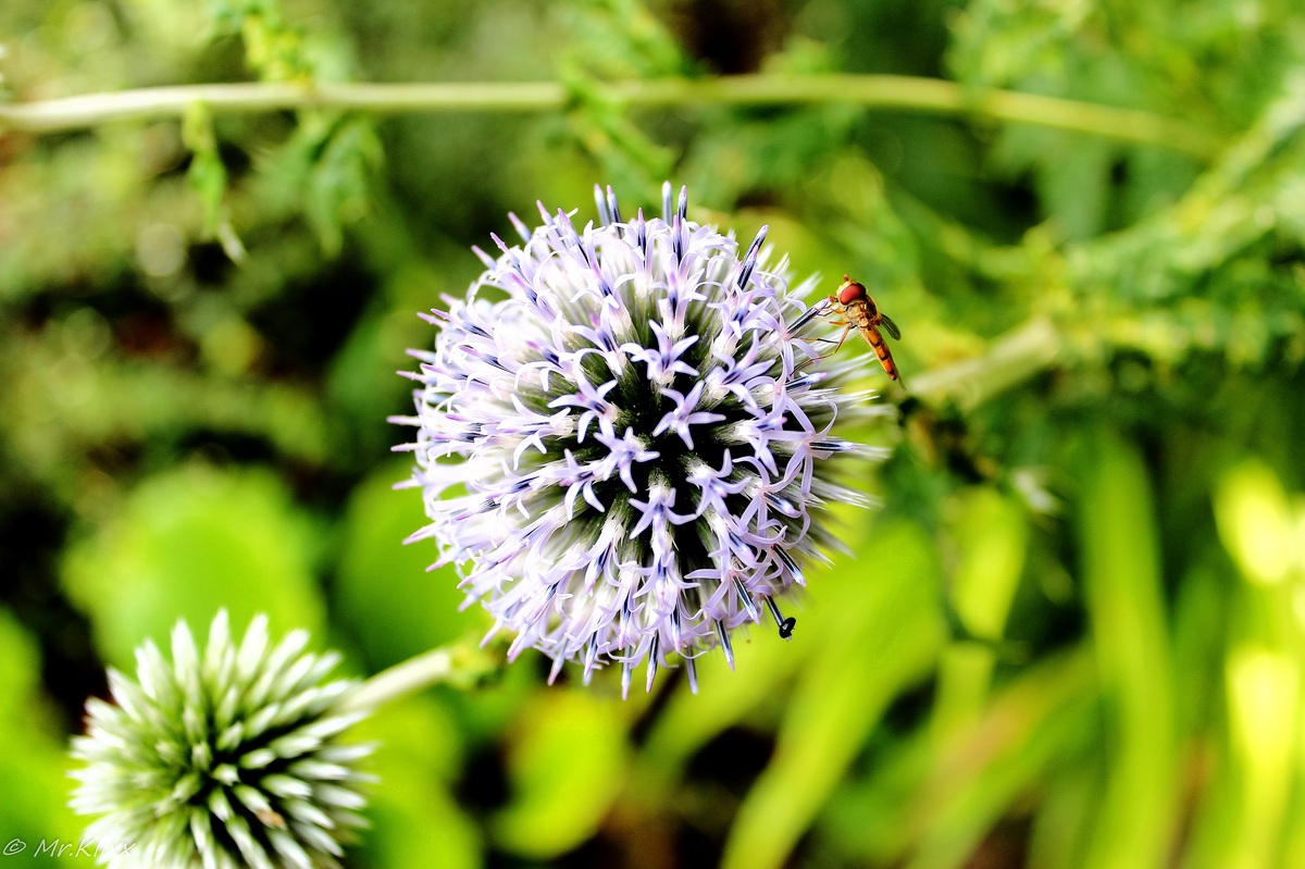 der sommer ist vorbei