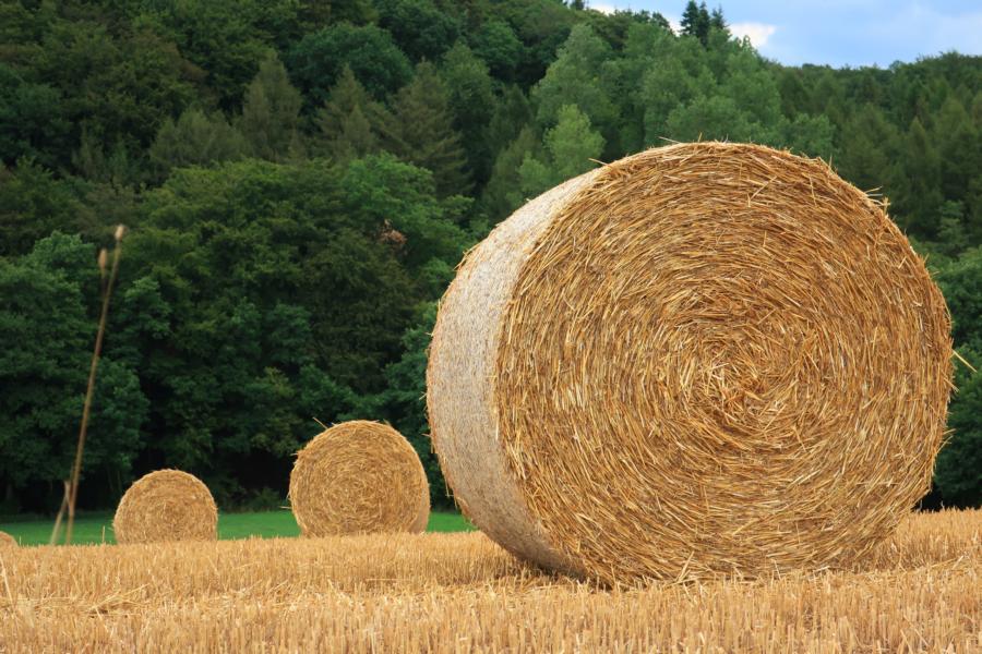 Es sieht nach Arbeit aus.....