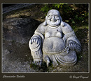 Fotos_Gemälde, Skulpturen, Statuen