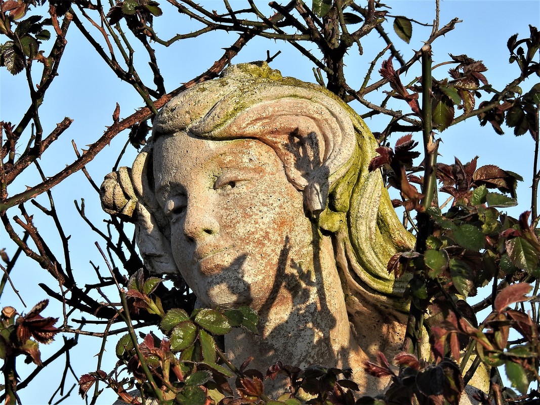 Schönheit der Natur